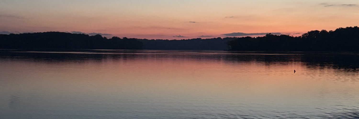 initsed_'s profile banner image