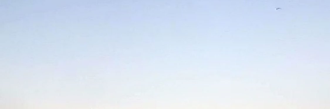 ro_ooja's profile banner image