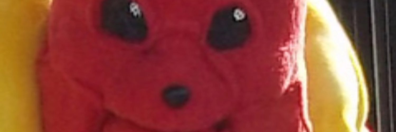 Lexi3r's profile banner image