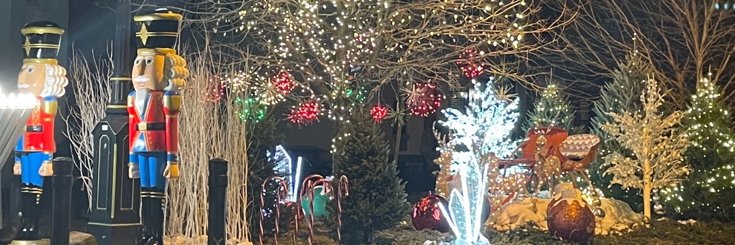 The Horse 🐴 banner