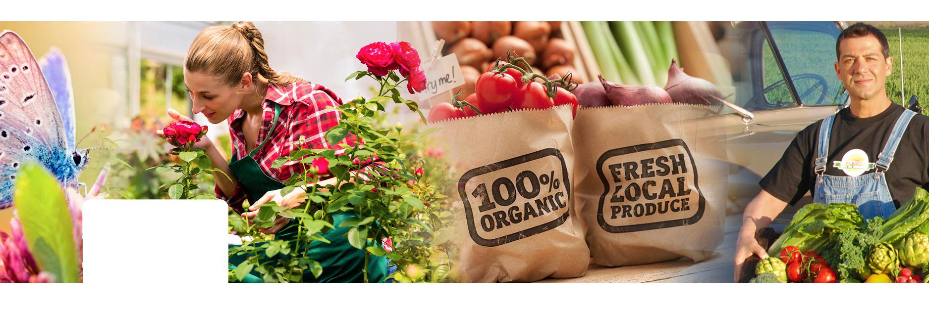 Dr. Earth Organics banner