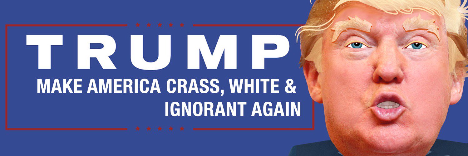 TrumpToon's profile banner image