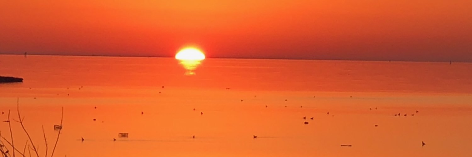 _craigdouglas's profile banner image