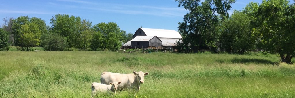 SouthviewFarms's profile banner image