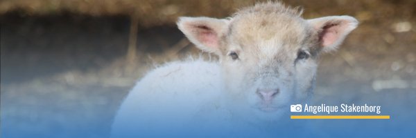 Nederweert24 Profile Banner