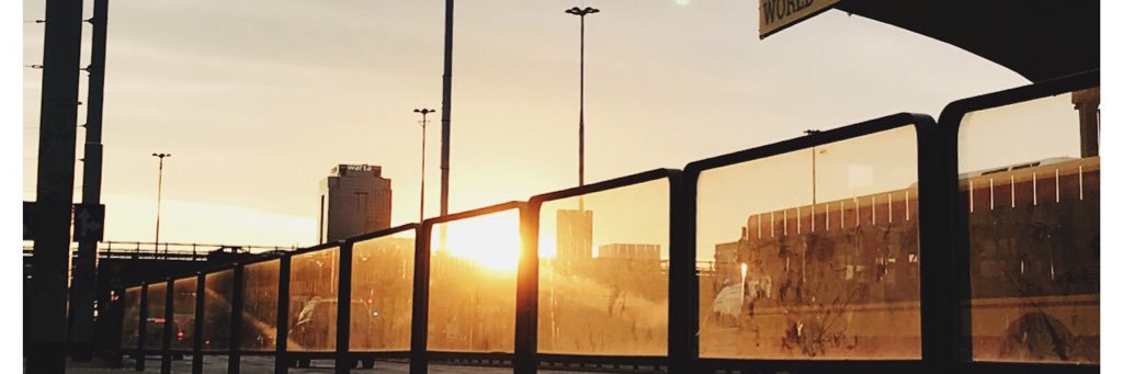 AKorneeva1's profile banner image