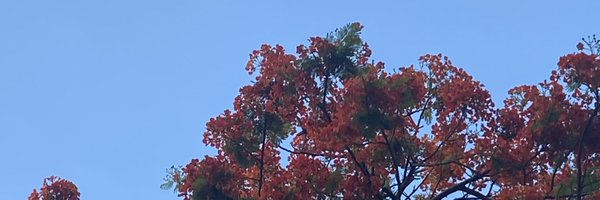 jeriksko Profile Banner