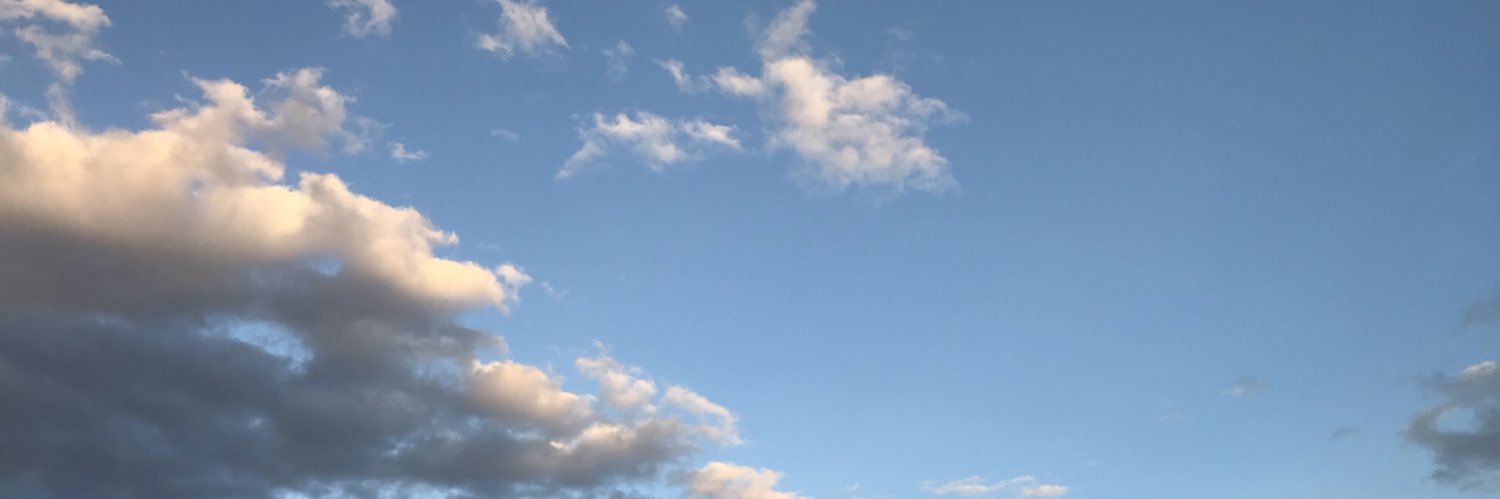 MevanPeiris's profile banner image