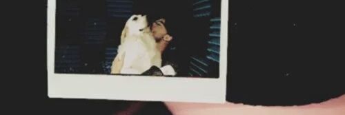 alessandrafck's profile banner image