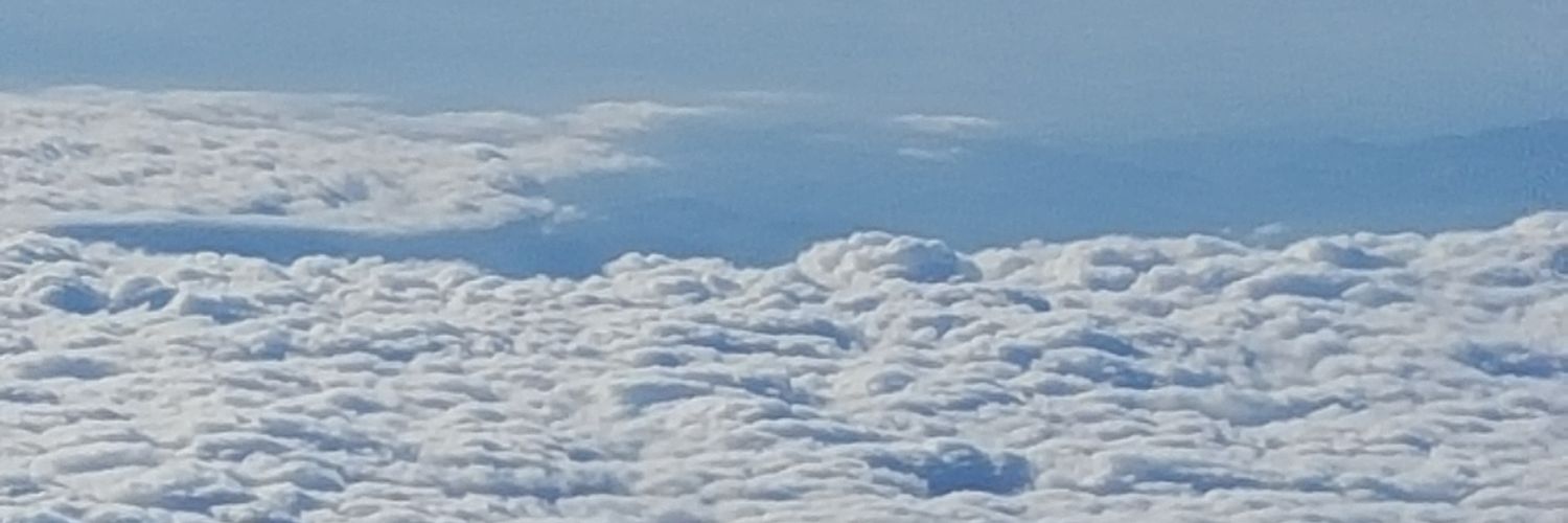 majapinjo's profile banner image