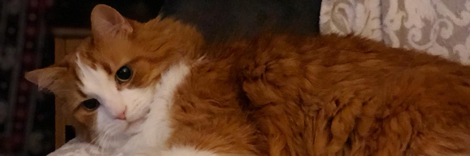 RioAz99's profile banner image