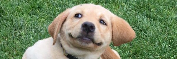 lexiandi_knowit's profile banner image