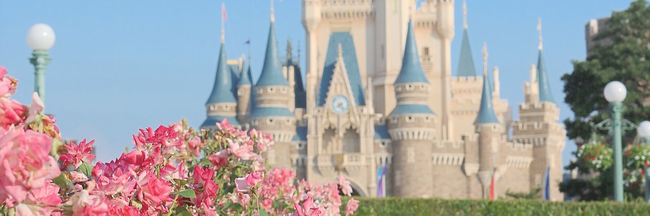 ccchipdddale's profile banner image