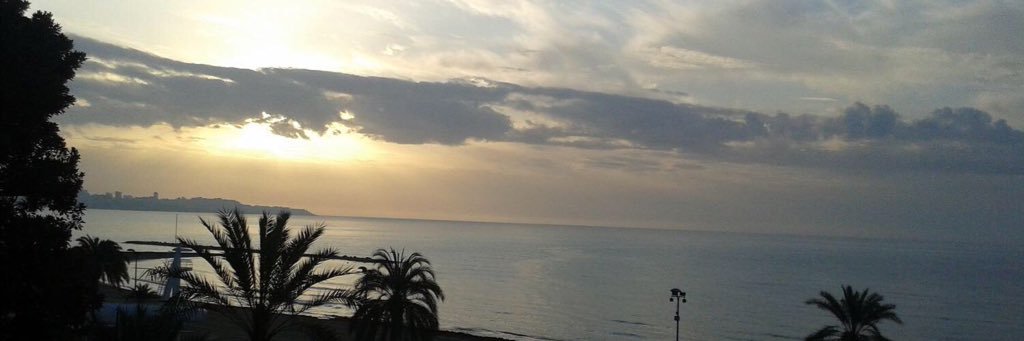 raqquelsoler's profile banner image