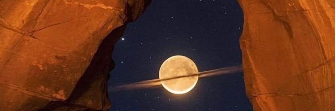 CactusJack2222🌵 banner