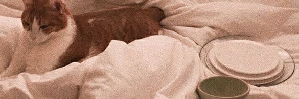 kwansooniery's profile banner image