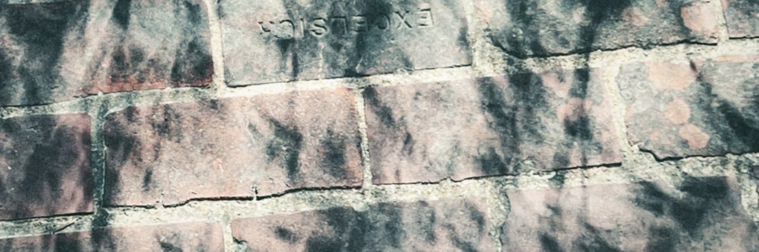 notlyssie's profile banner image