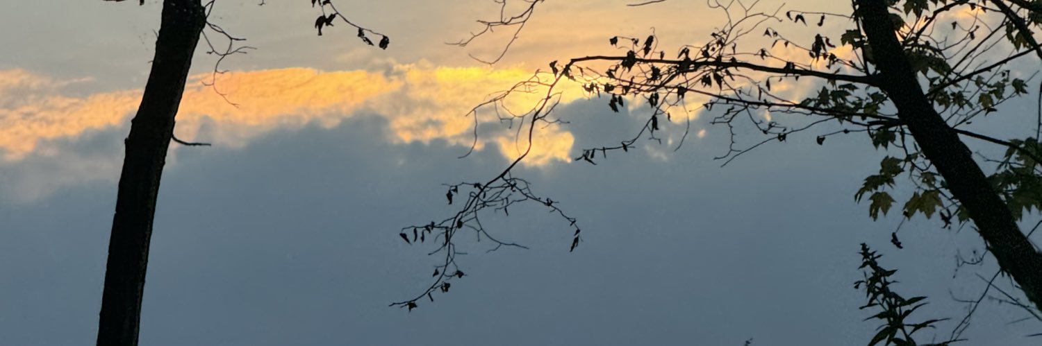 hoemi1o's profile banner image