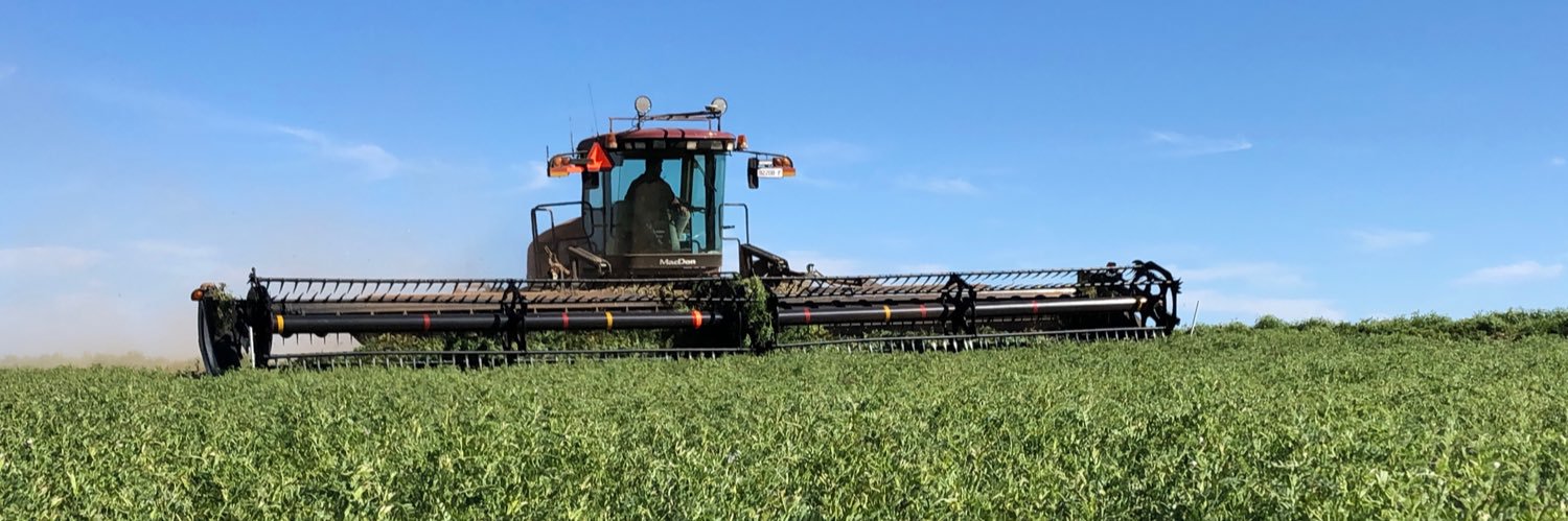 Callum Kinnear banner