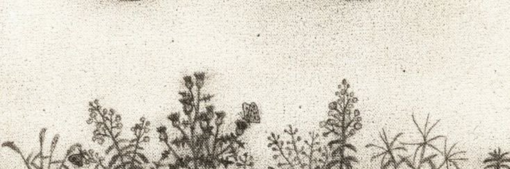 tobyoby__'s profile banner image