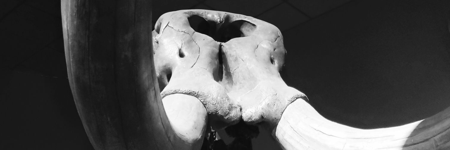 bethyleeman16's profile banner image