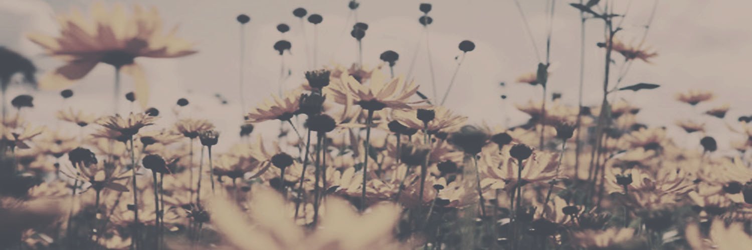 AmandiSolon's profile banner image