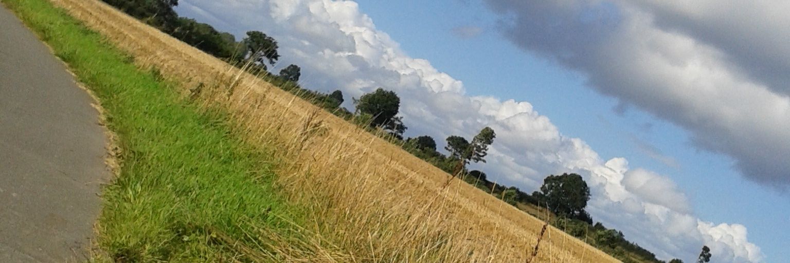 DennisBurger6's profile banner image