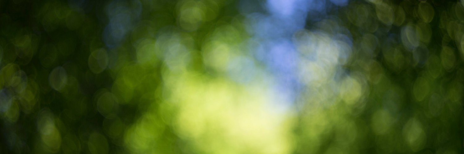 Adamchef's profile banner image