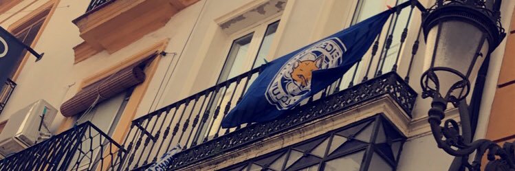 Matt Riddington banner