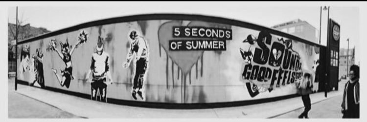 conchodick Hemmings banner