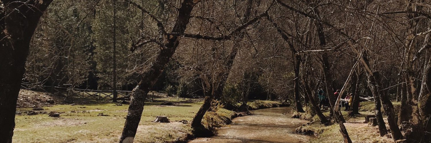 16Olmedo's profile banner image
