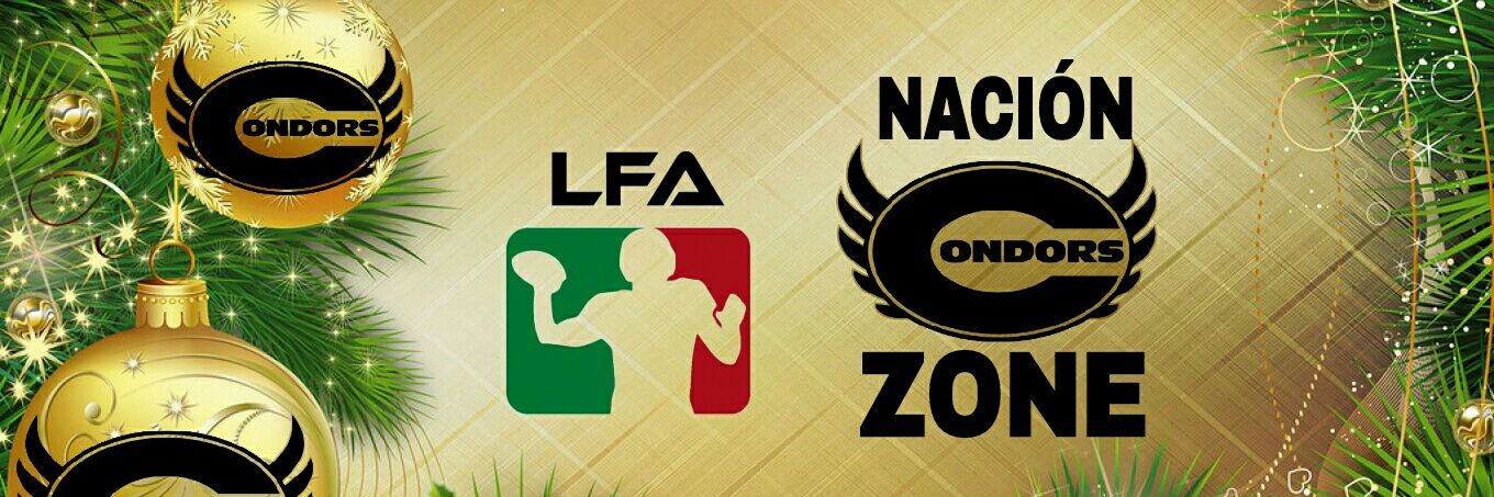 NacionCondors's profile banner image