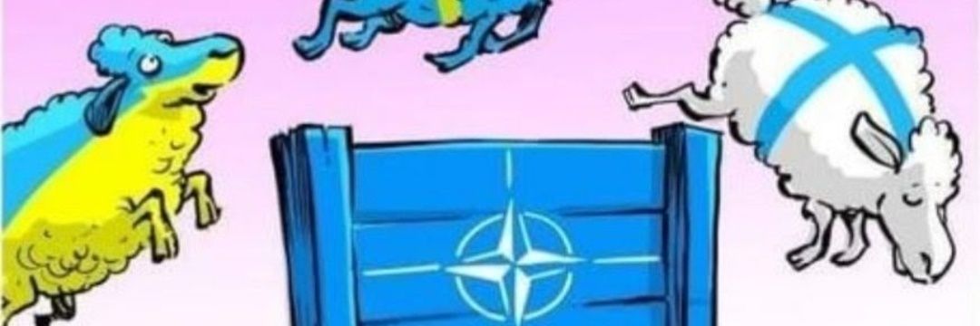 Storm sado !🇺🇦🇨🇵🇮🇱 banner