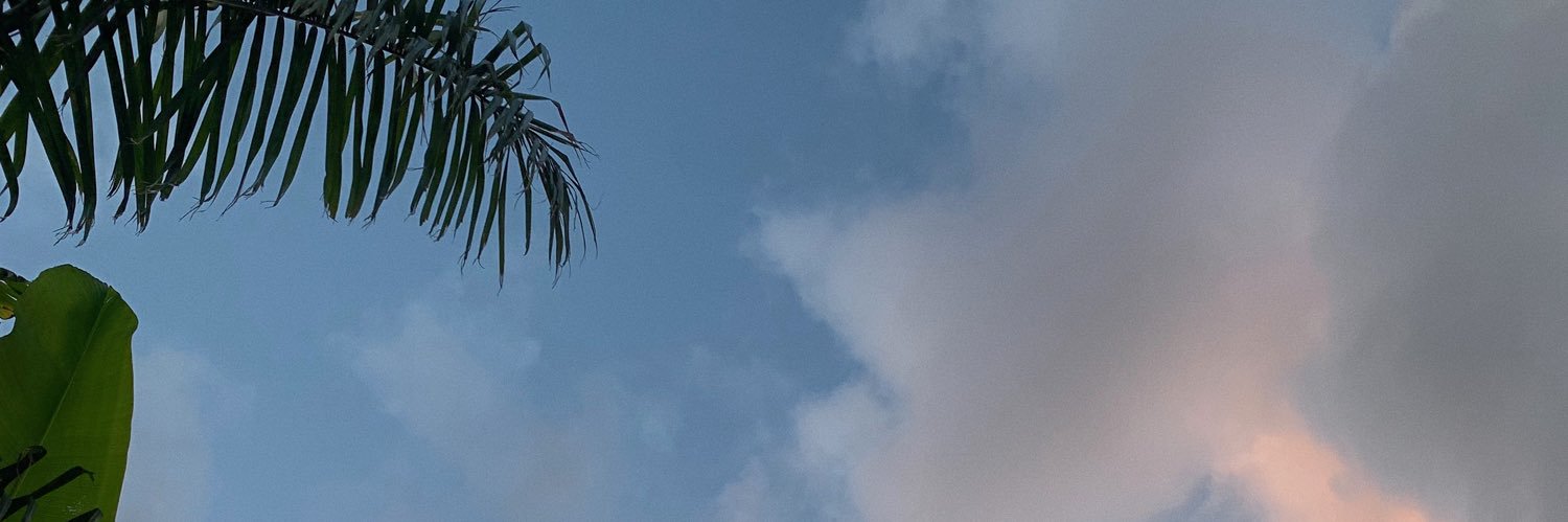 SarahSgn_'s profile banner image