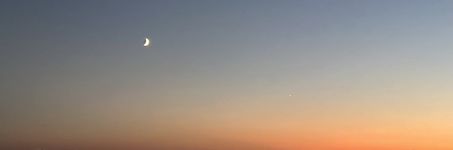 Micнєll banner