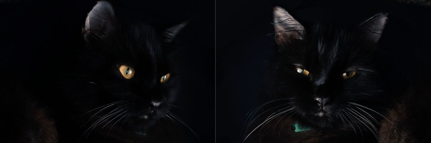 kristucay's profile banner image