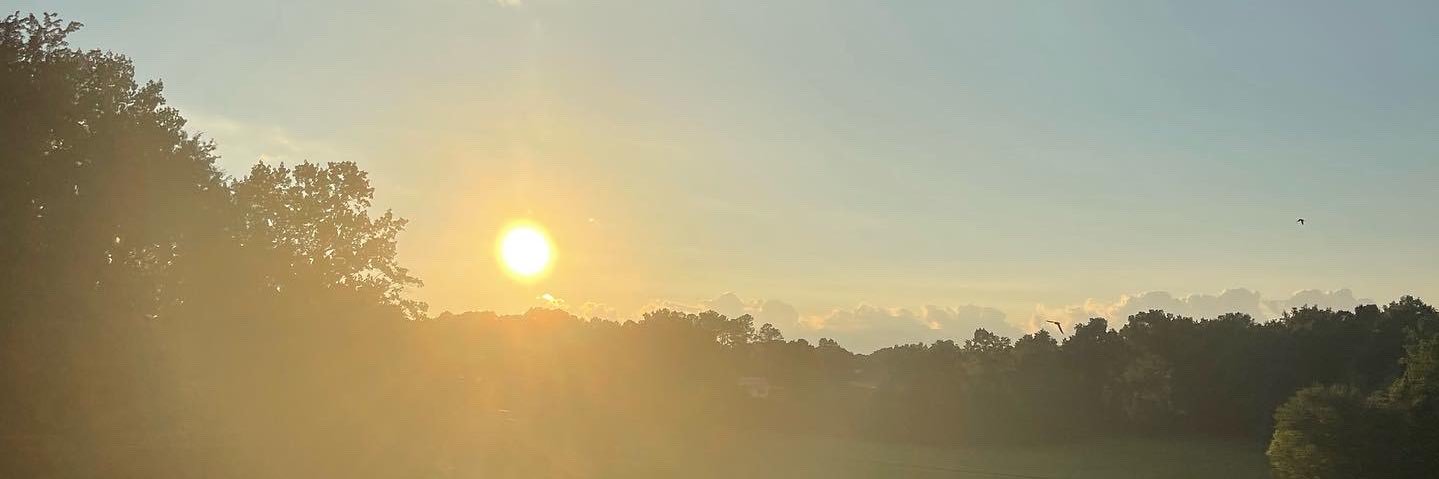 paytonclark's profile banner image