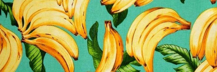 JanneMendonca3's profile banner image