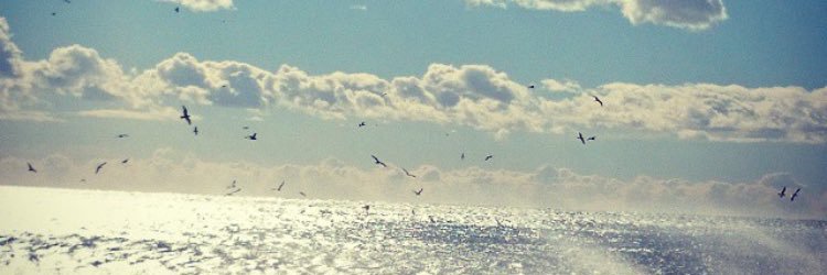3leab's profile banner image