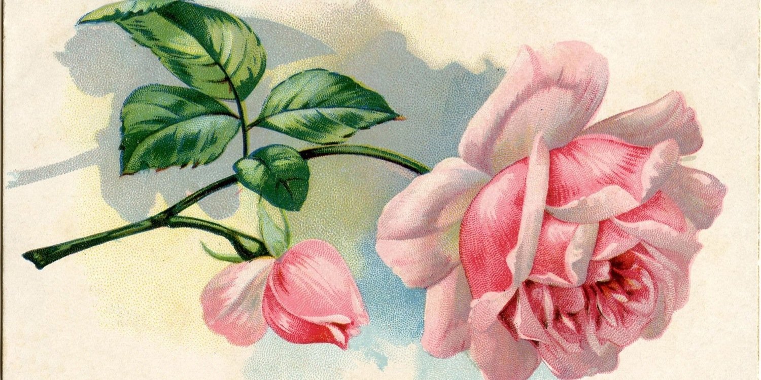 Michelle van de Ven banner