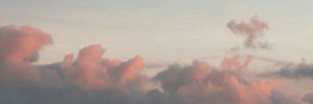 annvederee's profile banner image