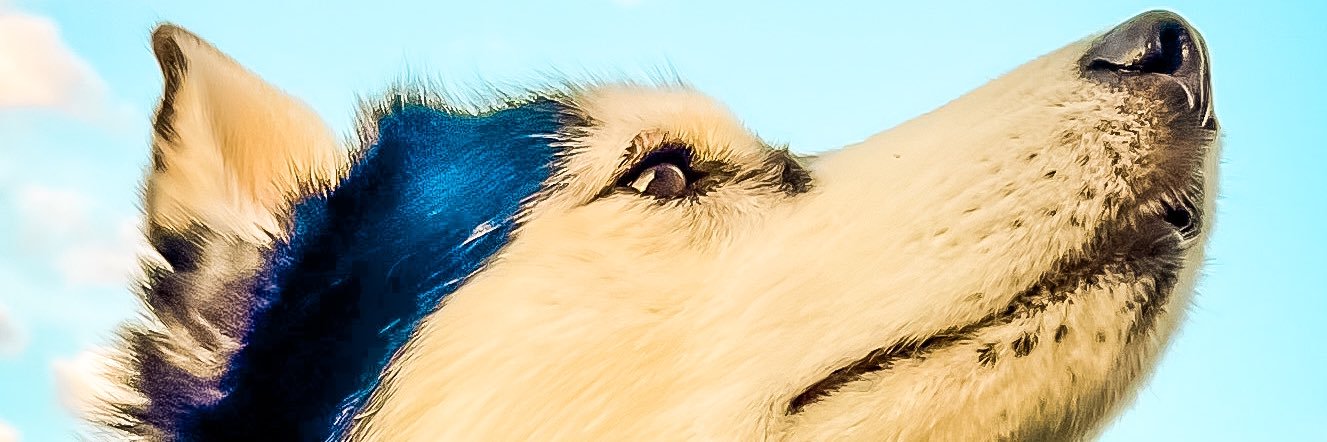happippitaka's profile banner image