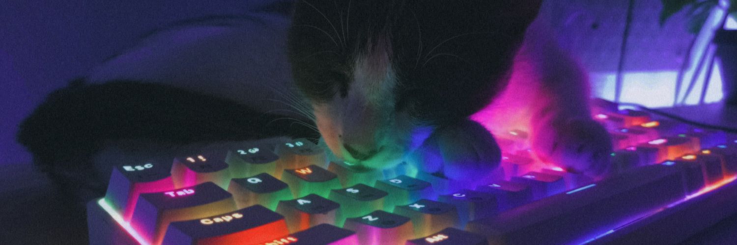 Silky_exe's profile banner image