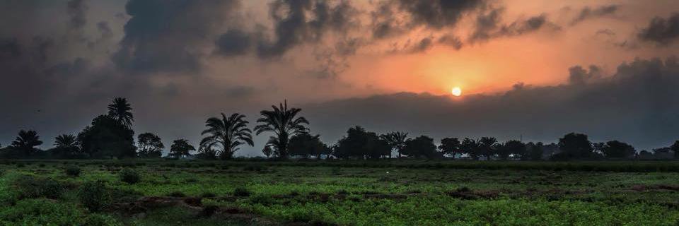 GreenMalir's profile banner image