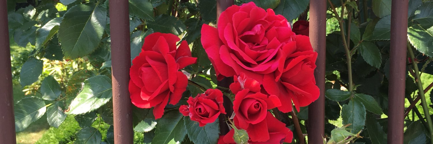 xjulkavx's profile banner image
