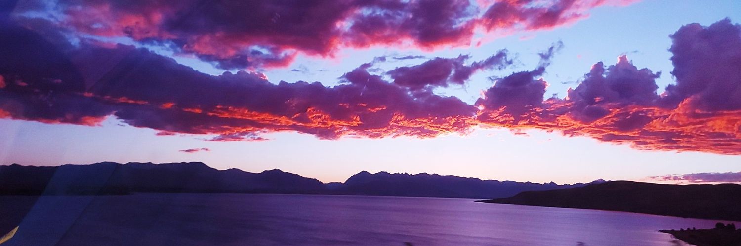 florrmonaco's profile banner image