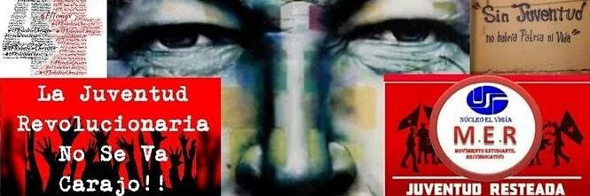 MovimientoMER1's profile banner image