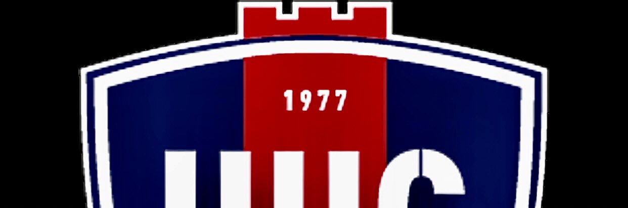 Alfred Panelin-Borg banner