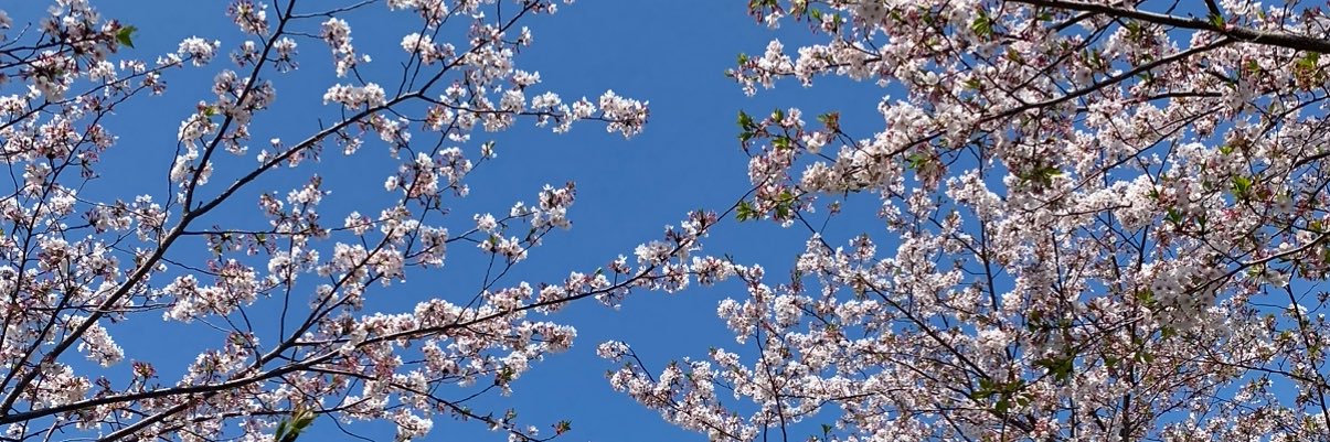 mocha__vanilla's profile banner image