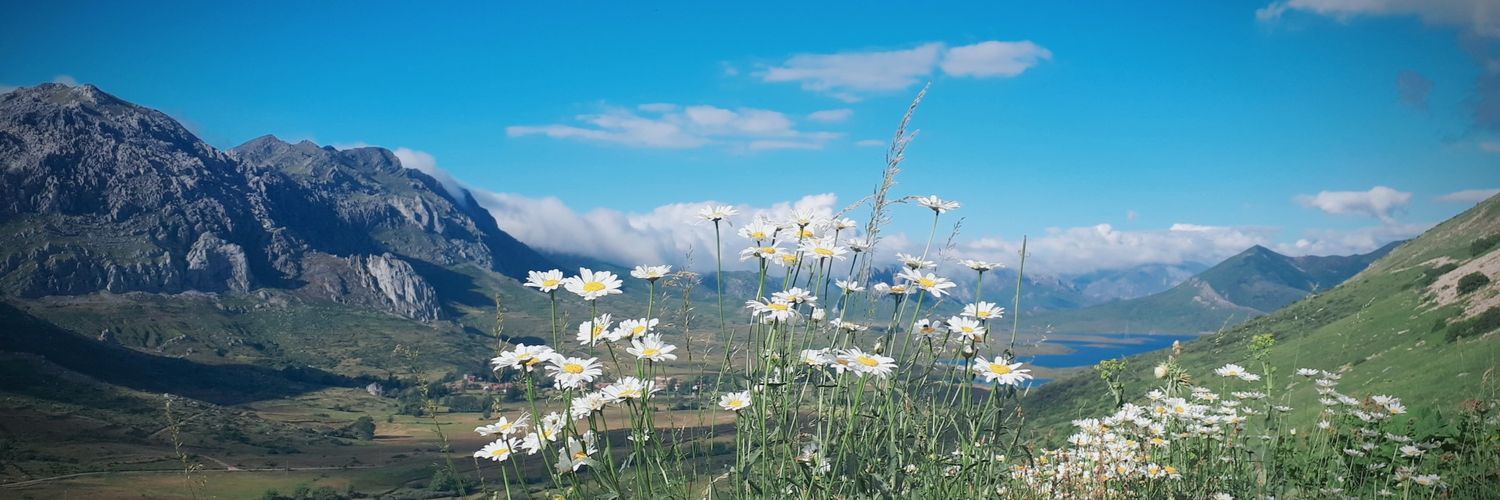 vlabarga48's profile banner image